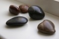 /album/priroda-materialy/dsc00050-jpg/