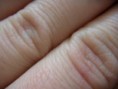 /album/priroda-materialy/dscn3676-jpg/