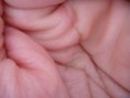 /album/priroda-materialy/dscn3677-jpg3/