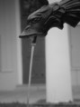 /album/priroda-materialy/dscn3760-jpg/