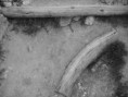 /album/priroda-materialy/dscn3944-jpg/