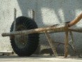 /album/priroda-materialy/dscn4235-jpg/